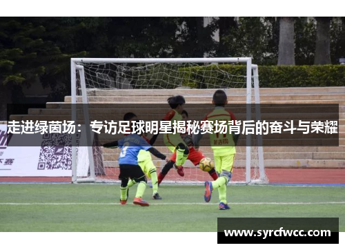 走进绿茵场：专访足球明星揭秘赛场背后的奋斗与荣耀